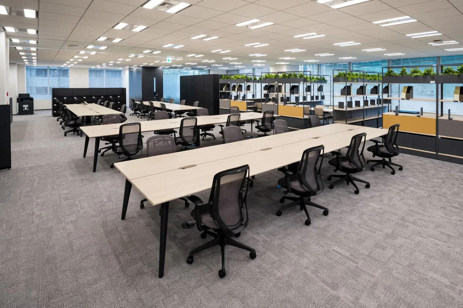 The work area