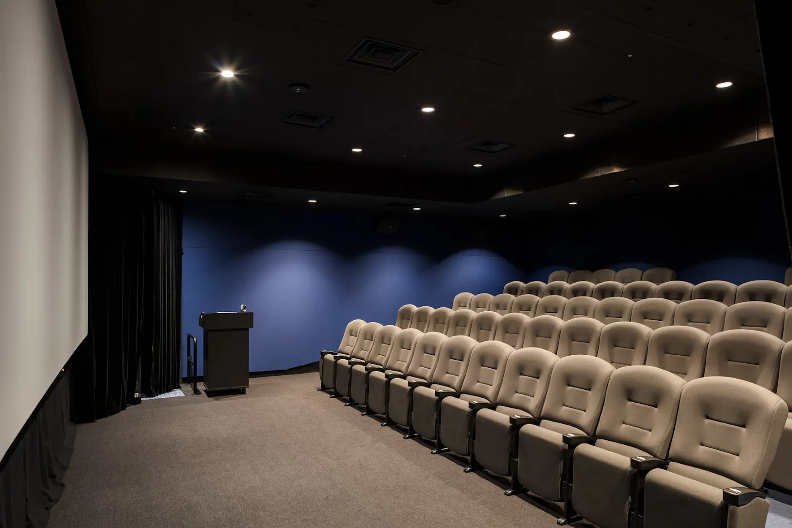 The screening room