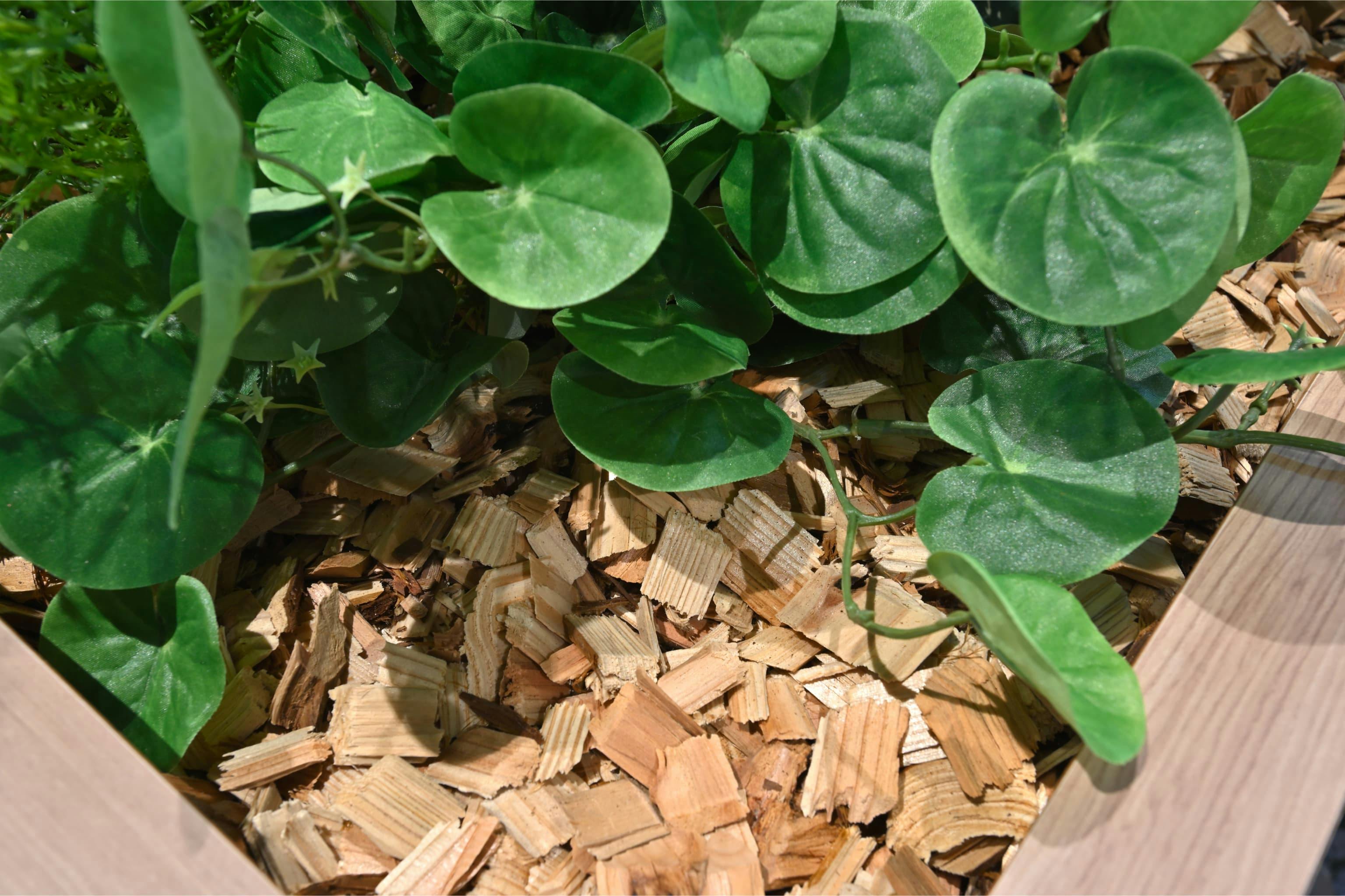 株式会社エスケイケイ 様の事例写真／[交流エリア]観葉植物の鉢には天然のウッドチップがあしらわれ、フェイクグリーンでありながら自然な質感を感じられるよう工夫されています。緑の多い環境は目にもやさしく、長時間モニターに向かう社員へのさりげない気遣いが伝わります。